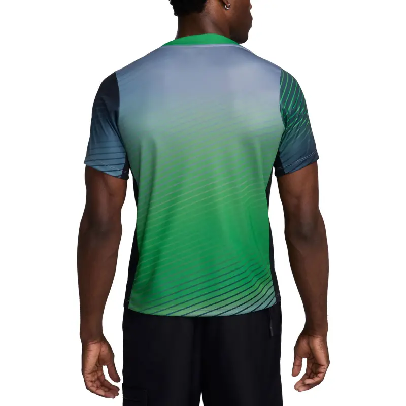 Italy National Team Nigeria National Team Nike 2024 Academy Pro Pre-Match Top – Gray – World Cup Soccer Shirts & Gear