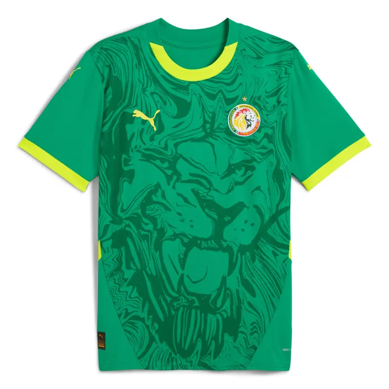 Italy National Team Senegal National Team Puma 2025 Away Replica Jersey – Green – World Cup Soccer Shirts & Gear
